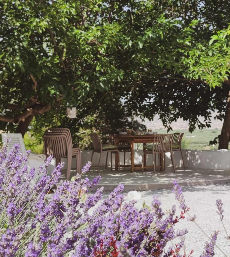 Cueva Otto Familiar Privada Villa Baza Dış mekan fotoğraf